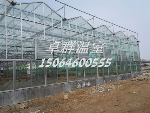內蒙古包頭市紋絡玻璃溫室。