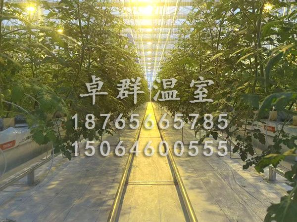 無土栽培