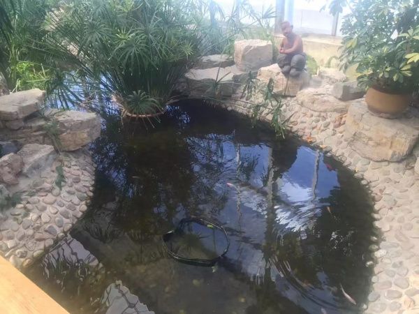 生態餐廳溫室